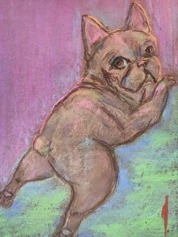 French bulldog drawing