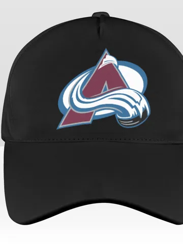 Colorado Avalanche Baseball Hat $36.00