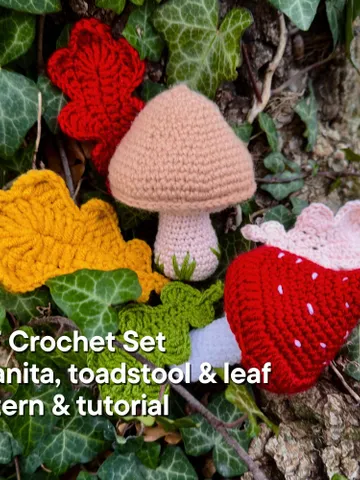 CROCHET Mushroom 3 Set: Amanita, Toadstool & Oak Leaves Perfect for Beginners Instant Digital Download PDF $3.05