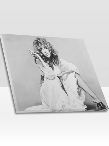 Stevie Nicks Frame Canvas Print, Wall Art Home Decor $24.00