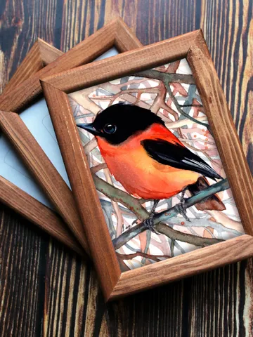 Flycatcher original watercolor, birds painting, handmade wall decor, 5x7 in art for bird lovers by Anne Gorywine $38.00