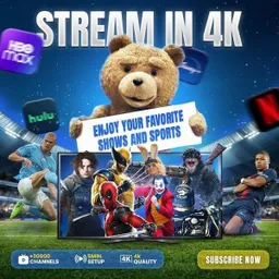 Logo iptv.subscription