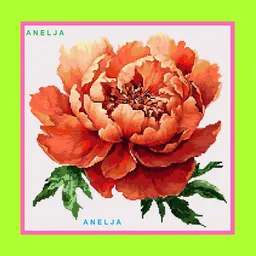 Anelja