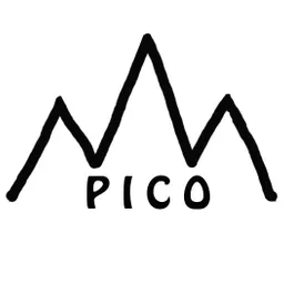 Pico_bags
