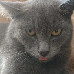 Olga