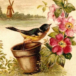 BirdAndButterflyGarden