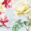 Design_shop